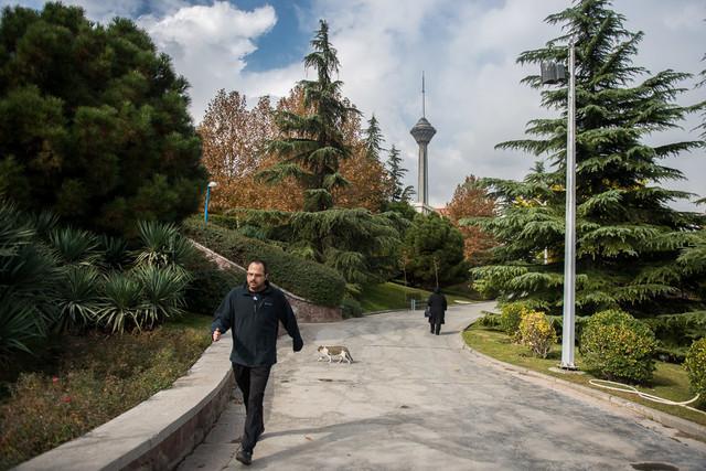 رکوردزنی تنفس هوای پاک و سالم در تهران رکوردزنی تنفس هوای پاک و سالم در تهران
