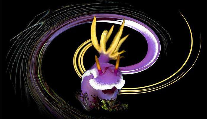 تصاویری از زیرآبی رفتن ها!