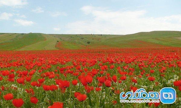 ناوان تالش؛ منطقه ای زیبا و حیرت انگیز در گیلان