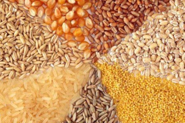 کمبود مصنوعی و افزایش قیمت خوراک دام به دلیل ایراد در توزیع کمبود مصنوعی و افزایش قیمت خوراک دام به دلیل ایراد در توزیع