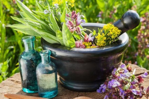 تولید مواد اولیه طبیعی در صنعت گیاهان دارویی رونق می گیرد فراوری مواد اولیه طبیعی در صنعت گیاهان دارویی رونق می گیرد