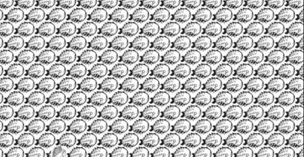 معمای تصویری مجذوب کننده؛ جوجه تیغی را در 12 ثانیه بین ماهی ها پیدا کنید؟