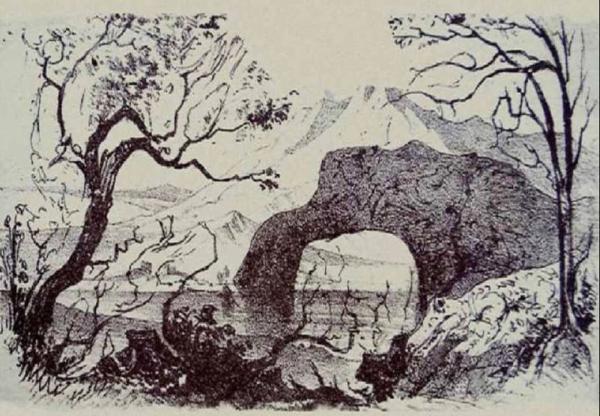 آیا می توانید 10 حیوان را در این توهم نوری در 15 ثانیه تشخیص دهید؟