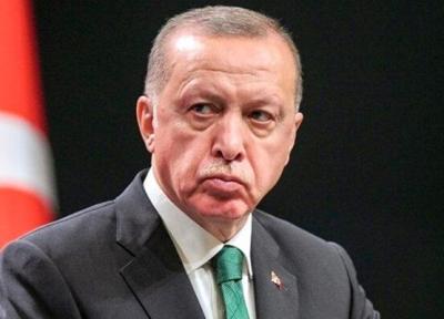 هدیه اردوغان به مردم ترکیه ؛ مصرف گاز یک ماه مجانی شد
