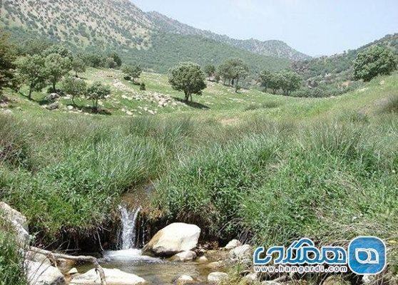 منطقه حفاظت شده بلس کوه یکی از دیدنی های استان مازندران است